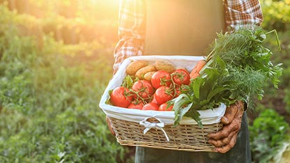 Alimentation, santé et beauté